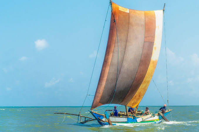 Catamaran Cruise Sri Lanka