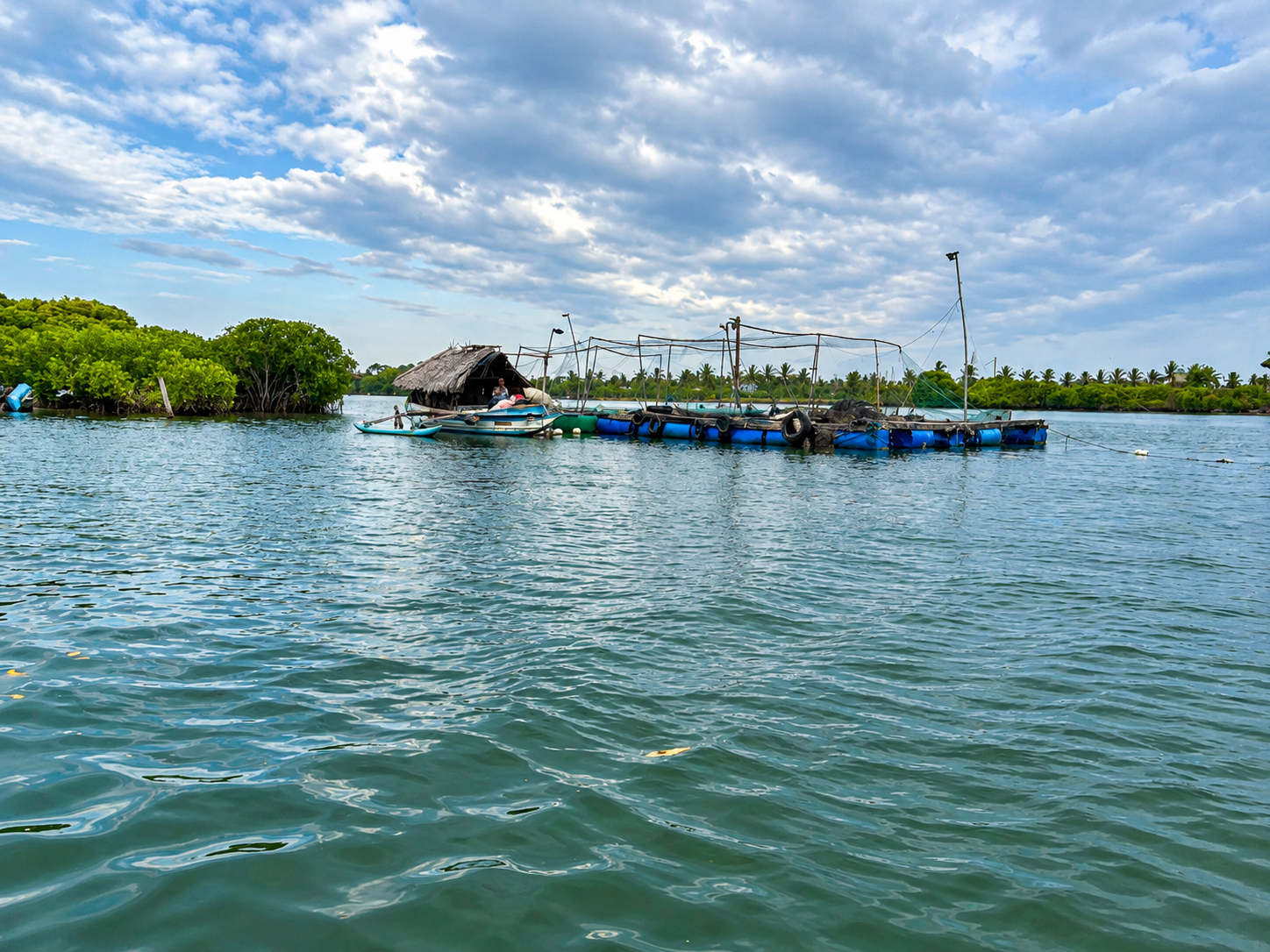 Prasa Boat Safari - Negombo Marine Voyage